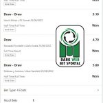 Germany Soccer Fixed Tips